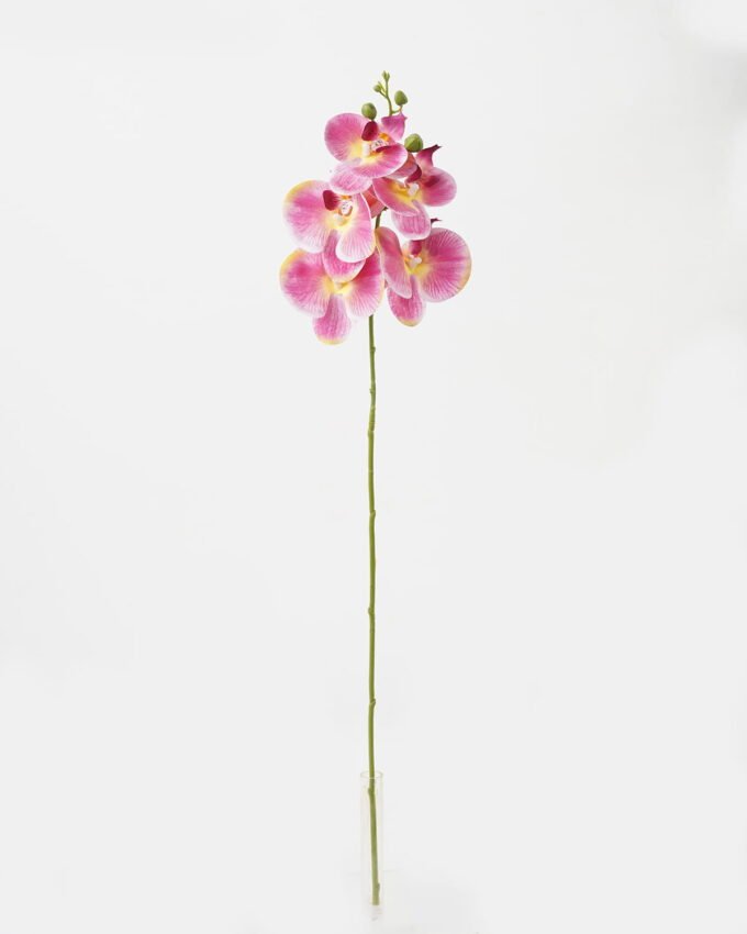 Artificial Flower 15*67cm Phalaenopsis *5 single stem GS-64923006-P5 Single Flowers YeahFlower is one of Chinese leading OEM manufacturers and exporters , supplying the silk flowers, wholesale artificial trees