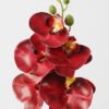 Artificial Flower 15*67cm Phalaenopsis *5 single stem GS-64923006-R2 Single Flowers YeahFlower is one of Chinese leading OEM manufacturers and exporters , supplying the silk flowers, wholesale artificial trees