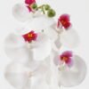 Artificial Flower 15*67cm Phalaenopsis *5 single stem GS-64923006-W2 Single Flowers YeahFlower is one of Chinese leading OEM manufacturers and exporters , supplying the silk flowers, wholesale artificial trees