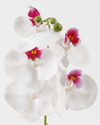 Artificial Flower 15*67cm Phalaenopsis *5 single stem GS-64923006-W2 Single Flowers YeahFlower is one of Chinese leading OEM manufacturers and exporters , supplying the silk flowers, wholesale artificial trees