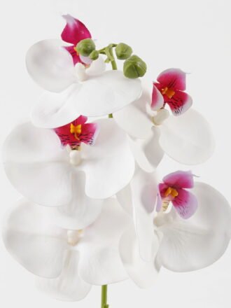 Artificial Flower 15*67cm Phalaenopsis *5 single stem GS-64923006-K1 Single Flowers 3,000+ sqm showroom with thousands of artificial flowers, plants & trees ready for global sourcing.