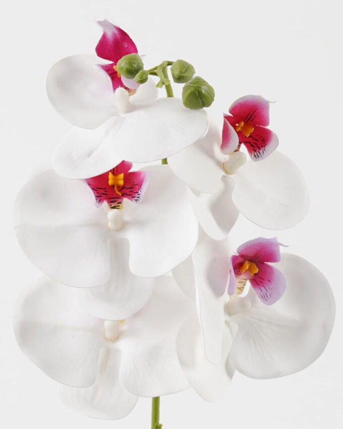 Artificial Flower 15*67cm Phalaenopsis *5 single stem GS-64923006-W2 Single Flowers YeahFlower is one of Chinese leading OEM manufacturers and exporters , supplying the silk flowers, wholesale artificial trees