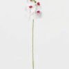 Artificial Flower 15*67cm Phalaenopsis *5 single stem GS-64923006-W2 Single Flowers YeahFlower is one of Chinese leading OEM manufacturers and exporters , supplying the silk flowers, wholesale artificial trees