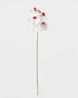 Artificial Flower 15*67cm Phalaenopsis *5 single stem GS-64923006-W2 Single Flowers YeahFlower is one of Chinese leading OEM manufacturers and exporters , supplying the silk flowers, wholesale artificial trees