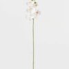 Artificial Flower 15*67cm Phalaenopsis *5 single stem GS-64923006-W2 Single Flowers YeahFlower is one of Chinese leading OEM manufacturers and exporters , supplying the silk flowers, wholesale artificial trees