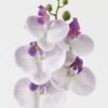 Artificial Flower 15*67cm Phalaenopsis *5 single stem GS-64923006-W3 Single Flowers YeahFlower is one of Chinese leading OEM manufacturers and exporters , supplying the silk flowers, wholesale artificial trees