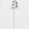 Artificial Flower 15*67cm Phalaenopsis *5 single stem GS-64923006-W3 Single Flowers YeahFlower is one of Chinese leading OEM manufacturers and exporters , supplying the silk flowers, wholesale artificial trees