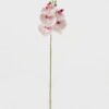 Artificial Flower 15*67cm Phalaenopsis *5 single stem GS-64923006-W3 Single Flowers YeahFlower is one of Chinese leading OEM manufacturers and exporters , supplying the silk flowers, wholesale artificial trees