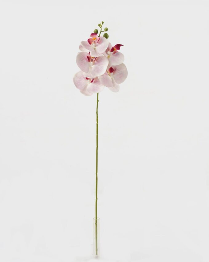 Artificial Flower 15*67cm Phalaenopsis *5 single stem GS-64923006-W3 Single Flowers YeahFlower is one of Chinese leading OEM manufacturers and exporters , supplying the silk flowers, wholesale artificial trees