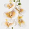 Artificial Flower 15*67cm Phalaenopsis *5 single stem GS-64923006-W6 Single Flowers YeahFlower is one of Chinese leading OEM manufacturers and exporters , supplying the silk flowers, wholesale artificial trees