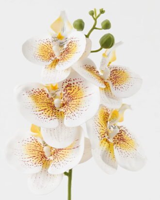Artificial Flower 15*67cm Phalaenopsis *5 single stem GS-64923006-W6 Single Flowers YeahFlower is one of Chinese leading OEM manufacturers and exporters , supplying the silk flowers, wholesale artificial trees