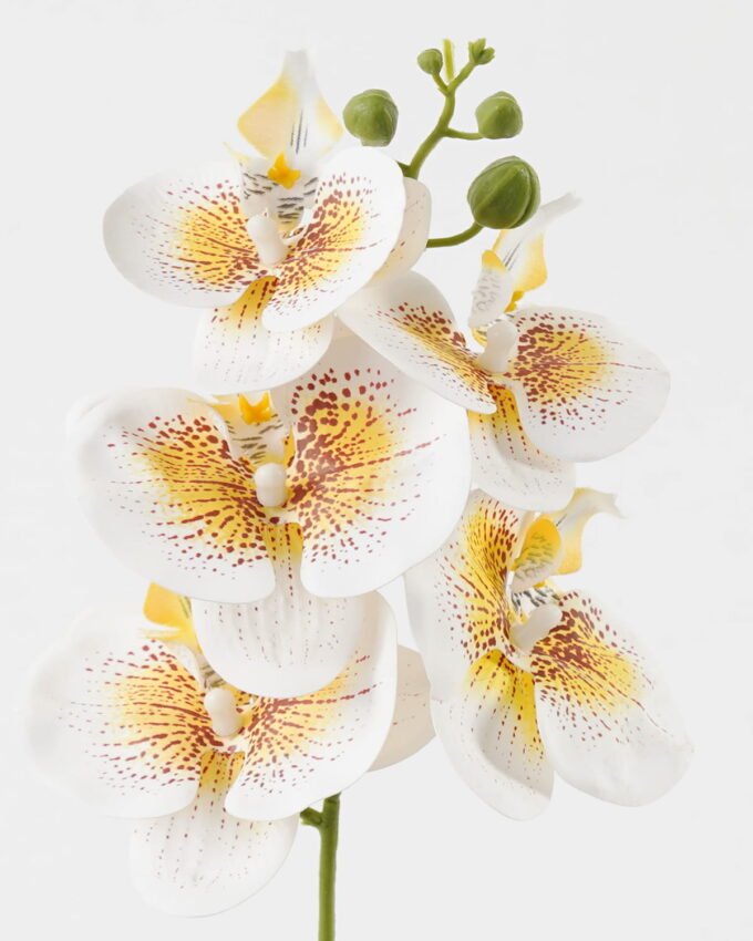 Artificial Flower 15*67cm Phalaenopsis *5 single stem GS-64923006-W6 Single Flowers YeahFlower is one of Chinese leading OEM manufacturers and exporters , supplying the silk flowers, wholesale artificial trees