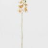 Artificial Flower 15*67cm Phalaenopsis *5 single stem GS-64923006-W6 Single Flowers YeahFlower is one of Chinese leading OEM manufacturers and exporters , supplying the silk flowers, wholesale artificial trees