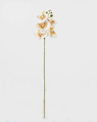Artificial Flower 15*67cm Phalaenopsis *5 single stem GS-64923006-W6 Single Flowers YeahFlower is one of Chinese leading OEM manufacturers and exporters , supplying the silk flowers, wholesale artificial trees