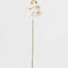 Artificial Flower 15*67cm Phalaenopsis *5 single stem GS-64923006-W6 Single Flowers YeahFlower is one of Chinese leading OEM manufacturers and exporters , supplying the silk flowers, wholesale artificial trees