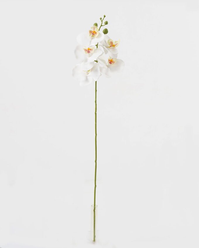 Artificial Flower 15*67cm Phalaenopsis *5 single stem GS-64923006-W6 Single Flowers YeahFlower is one of Chinese leading OEM manufacturers and exporters , supplying the silk flowers, wholesale artificial trees