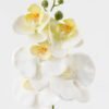 Artificial Flower 15*67cm Phalaenopsis *5 single stem GS-64923006-W8 Single Flowers YeahFlower is one of Chinese leading OEM manufacturers and exporters , supplying the silk flowers, wholesale artificial trees