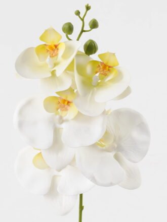 Artificial Flower 15*67cm Phalaenopsis *5 single stem GS-64923006-W3 Single Flowers 3,000+ sqm showroom with thousands of artificial flowers, plants & trees ready for global sourcing.
