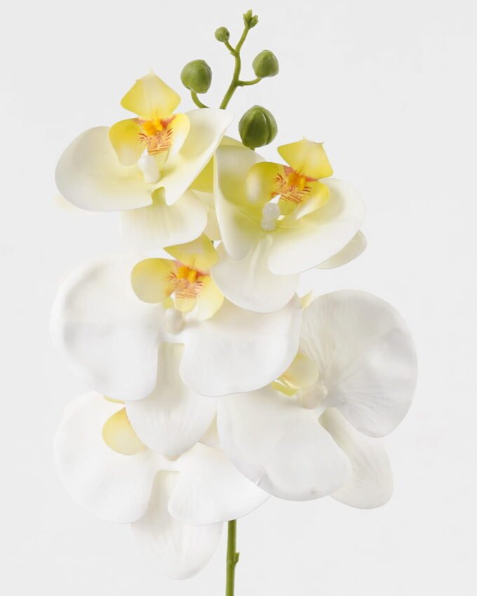 Artificial Flower 15*67cm Phalaenopsis *5 single stem GS-64923006-W8 Single Flowers YeahFlower is one of Chinese leading OEM manufacturers and exporters , supplying the silk flowers, wholesale artificial trees