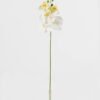 Artificial Flower 15*67cm Phalaenopsis *5 single stem GS-64923006-W8 Single Flowers YeahFlower is one of Chinese leading OEM manufacturers and exporters , supplying the silk flowers, wholesale artificial trees