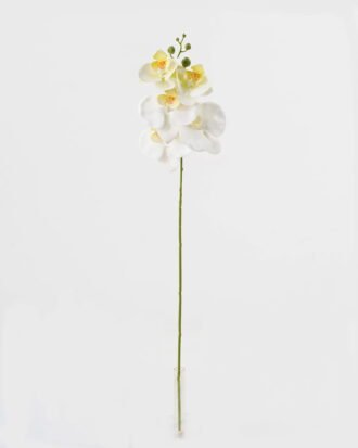 Artificial Flower 15*67cm Phalaenopsis *5 single stem GS-64923006-W8 Single Flowers YeahFlower is one of Chinese leading OEM manufacturers and exporters , supplying the silk flowers, wholesale artificial trees