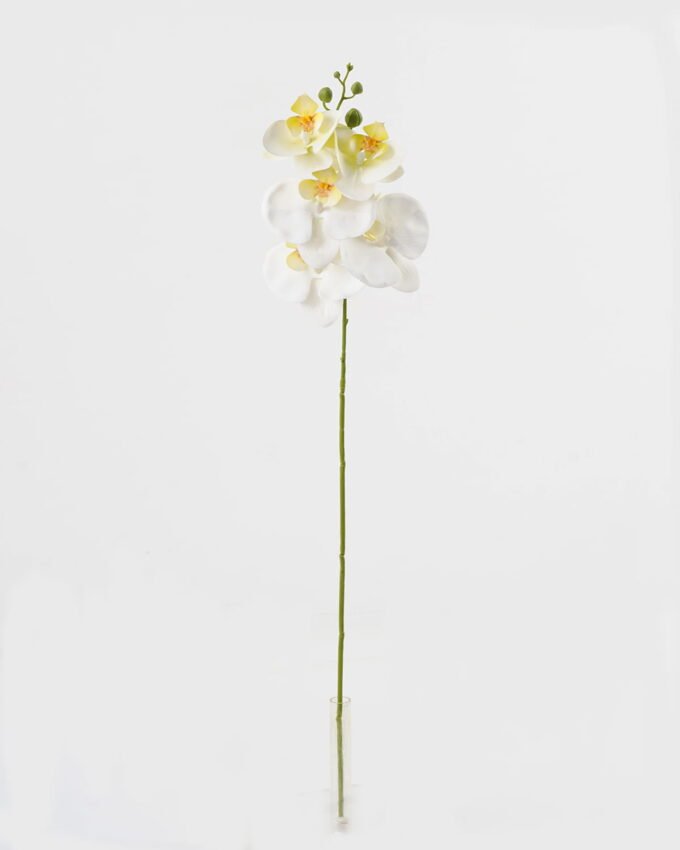 Artificial Flower 15*67cm Phalaenopsis *5 single stem GS-64923006-W8 Single Flowers YeahFlower is one of Chinese leading OEM manufacturers and exporters , supplying the silk flowers, wholesale artificial trees