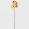 Artificial Flower 15*67cm Phalaenopsis *5 single stem GS-64923006-W8 Single Flowers YeahFlower is one of Chinese leading OEM manufacturers and exporters , supplying the silk flowers, wholesale artificial trees