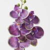Artificial Flower Phalaenopsis 5 single stem GS-64923006-Z2_1 Artificial Flower 15*67cm Phalaenopsis *5 single stem GS-64923006-Z2 Single Flowers YeahFlower is one of Chinese leading OEM manufacturers and exporters , supplying the silk flowers, wholesale artificial trees