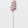 Artificial Flower 19*93cm Phalaenopsis *8 single stem GS-64923007-B3 Single Flowers YeahFlower is one of Chinese leading OEM manufacturers and exporters , supplying the silk flowers, wholesale artificial trees
