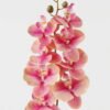 Artificial Flower Phalaenopsis 8 single stem GS-64923007-R2 Artificial Flower 19*93cm Phalaenopsis *8 single stem GS-64923007-R2 Single Flowers YeahFlower is one of Chinese leading OEM manufacturers and exporters , supplying the silk flowers, wholesale artificial trees