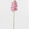 Artificial Flower Phalaenopsis 8 single stem GS-64923007-R2_5 Artificial Flower 19*93cm Phalaenopsis *8 single stem GS-64923007-R2 Single Flowers YeahFlower is one of Chinese leading OEM manufacturers and exporters , supplying the silk flowers, wholesale artificial trees