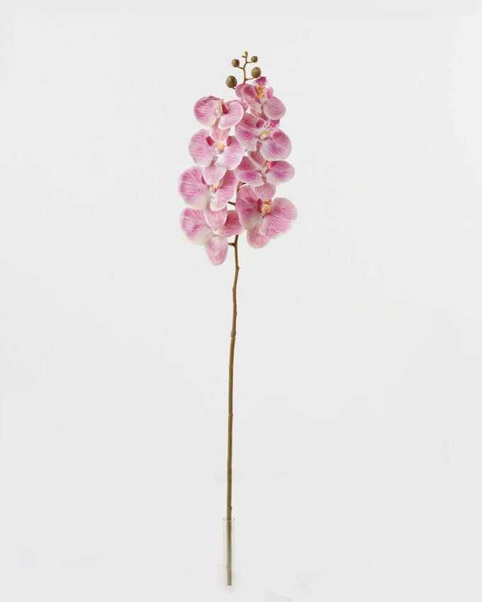 Artificial Flower Phalaenopsis 8 single stem GS-64923007-R2_5 Artificial Flower 19*93cm Phalaenopsis *8 single stem GS-64923007-R2 Single Flowers YeahFlower is one of Chinese leading OEM manufacturers and exporters , supplying the silk flowers, wholesale artificial trees