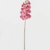 Artificial Flower 19*93cm Phalaenopsis *8 single stem GS-64923007-R3 Single Flowers YeahFlower is one of Chinese leading OEM manufacturers and exporters , supplying the silk flowers, wholesale artificial trees