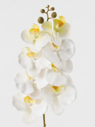 Artificial Flower 19*93cm Phalaenopsis *8 single stem GS-64923007-R3 Single Flowers 3,000+ sqm showroom with thousands of artificial flowers, plants & trees ready for global sourcing.