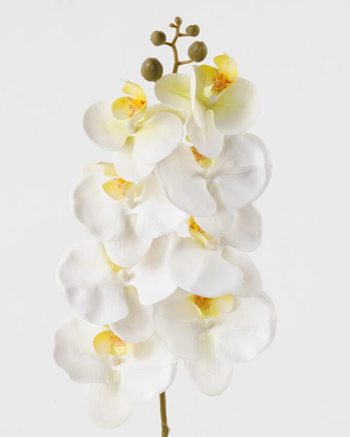 Artificial Flower 19*93cm Phalaenopsis *8 single stem GS-64923007-W2 Single Flowers YeahFlower is one of Chinese leading OEM manufacturers and exporters , supplying the silk flowers, wholesale artificial trees
