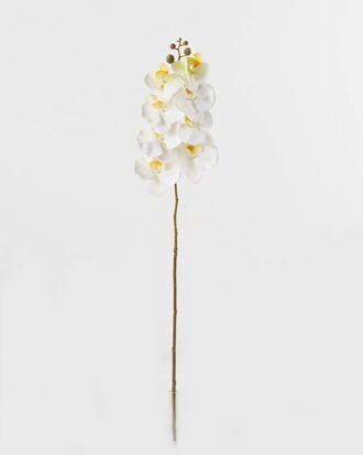 Artificial Flower 19*93cm Phalaenopsis *8 single stem GS-64923007-W2 Single Flowers YeahFlower is one of Chinese leading OEM manufacturers and exporters , supplying the silk flowers, wholesale artificial trees