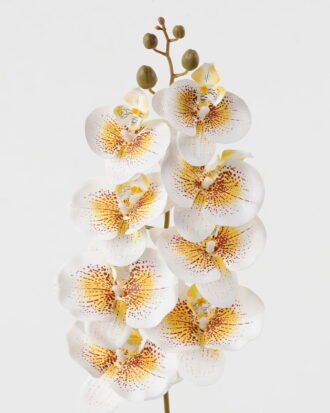 Artificial Flower 19*93cm Phalaenopsis *8 single stem GS-64923007-W4 Single Flowers YeahFlower is one of Chinese leading OEM manufacturers and exporters , supplying the silk flowers, wholesale artificial trees