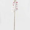 Artificial Flower Phalaenopsis 8 single stem GS-64923007-W6 Artificial Flower 19*93cm Phalaenopsis *8 single stem GS-64923007-W6 Single Flowers YeahFlower is one of Chinese leading OEM manufacturers and exporters , supplying the silk flowers, wholesale artificial trees