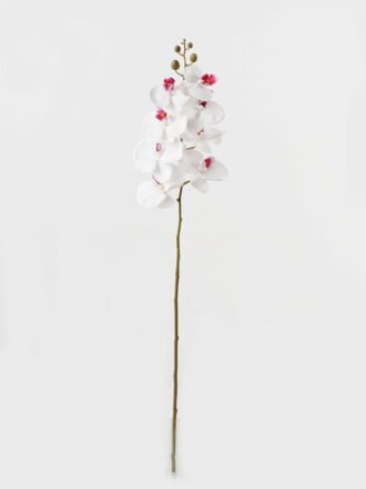 Artificial Flower 19*93cm Phalaenopsis *8 single stem GS-64923007-W4 Single Flowers 3,000+ sqm showroom with thousands of artificial flowers, plants & trees ready for global sourcing.