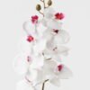 Artificial Flower Phalaenopsis 8 single stem GS-64923007-W6_1 Artificial Flower 19*93cm Phalaenopsis *8 single stem GS-64923007-W6 Single Flowers YeahFlower is one of Chinese leading OEM manufacturers and exporters , supplying the silk flowers, wholesale artificial trees
