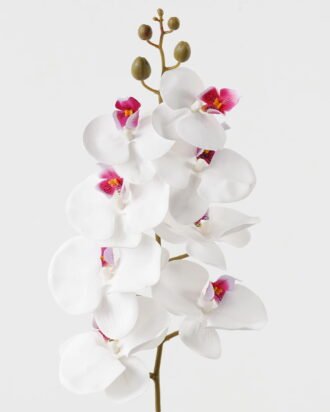 Artificial Flower 19*93cm Phalaenopsis *8 single stem GS-64923007-W6 Single Flowers YeahFlower is one of Chinese leading OEM manufacturers and exporters , supplying the silk flowers, wholesale artificial trees