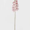 Artificial Flower Phalaenopsis 8 single stem GS-64923007-W6_5 Artificial Flower 19*93cm Phalaenopsis *8 single stem GS-64923007-W6 Single Flowers YeahFlower is one of Chinese leading OEM manufacturers and exporters , supplying the silk flowers, wholesale artificial trees