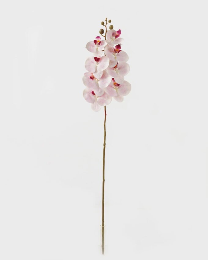 Artificial Flower Phalaenopsis 8 single stem GS-64923007-W6_5 Artificial Flower 19*93cm Phalaenopsis *8 single stem GS-64923007-W6 Single Flowers YeahFlower is one of Chinese leading OEM manufacturers and exporters , supplying the silk flowers, wholesale artificial trees