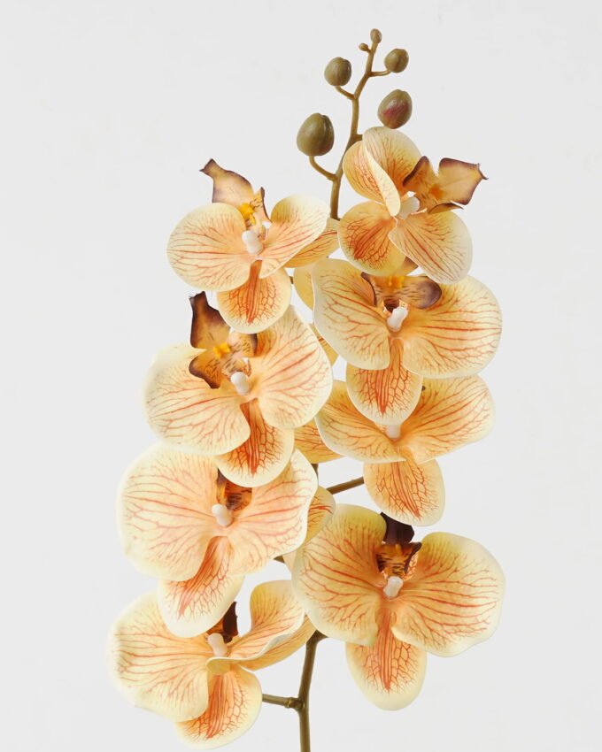 Artificial Flower 19*93cm Phalaenopsis *8 single stem GS-64923007-Y3 Single Flowers YeahFlower is one of Chinese leading OEM manufacturers and exporters , supplying the silk flowers, wholesale artificial trees
