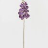 Artificial Flower 19*93cm Phalaenopsis *8 single stem GS-64923007-Y3 Single Flowers YeahFlower is one of Chinese leading OEM manufacturers and exporters , supplying the silk flowers, wholesale artificial trees