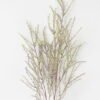 Artificial Flower Pighair grass single stem GS-30323004-G3_1 Artificial Flower 14*14*110cm Pighair grass single stem GS-30323004-G3 Single Flowers YeahFlower is one of Chinese leading OEM manufacturers and exporters , supplying the silk flowers, wholesale artificial trees