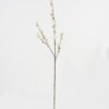 Artificial Flower Plum Blossom single stem GS-27923032-P1_1 Artificial Flower 13*13*106cm Plum Blossom single stem GS-27923032-P1 Single Flowers YeahFlower is one of Chinese leading OEM manufacturers and exporters , supplying the silk flowers, wholesale artificial trees