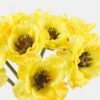 Artificial Flower 21*21*33cm Poppy *9 bundle GS-128J23024-Y1 Bouquet YeahFlower is one of Chinese leading OEM manufacturers and exporters , supplying the silk flowers, wholesale artificial trees