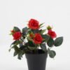Artificial Flower Rose in PP pot GS-03323013-R1 Artificial Flower 20*20*25cm Rose in PP pot GS-03323013-R1 Potted Flowers&Plants YeahFlower is one of Chinese leading OEM manufacturers and exporters , supplying the silk flowers, wholesale artificial trees