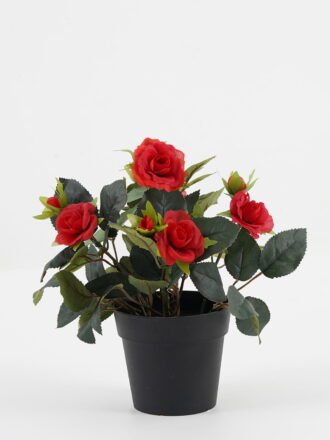 Artificial Flower 20*20*25cm Rose in PP pot GS-03323013-R2 Potted Flowers&Plants 3,000+ sqm showroom with thousands of artificial flowers, plants & trees ready for global sourcing.